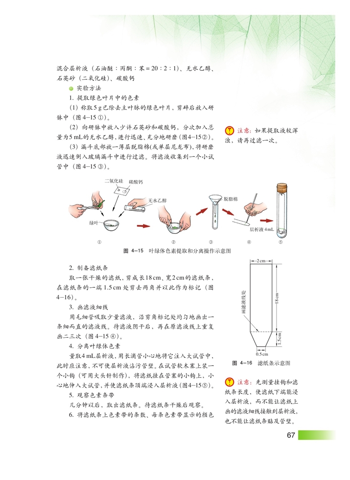 沪科版高中高一生命科学生命科学（第一册）光合作用第4页