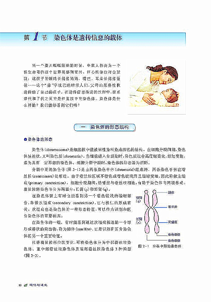 北师大版高中高一生物必修2染色体是遗传信息的载体第1页