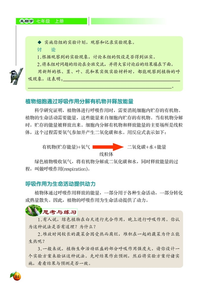 北师大版初中生物初一生物上册呼吸作用第4页