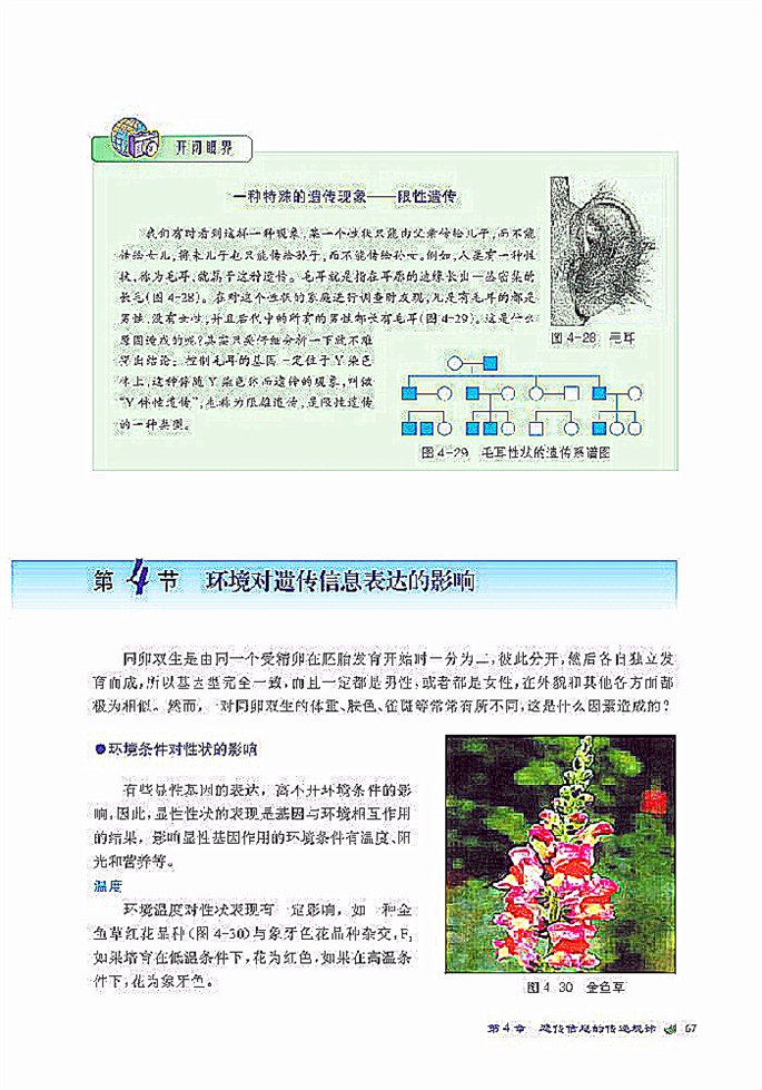 北师大版高中高一生物必修2环境对遗传信息表达的影响第0页