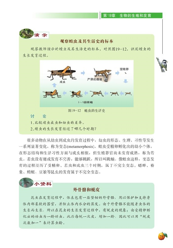 北师大版初中生物初二生物上册动物的生殖和发育第3页