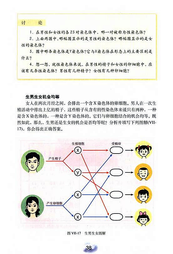 人教版初中初二生物下册人的性别遗传第2页