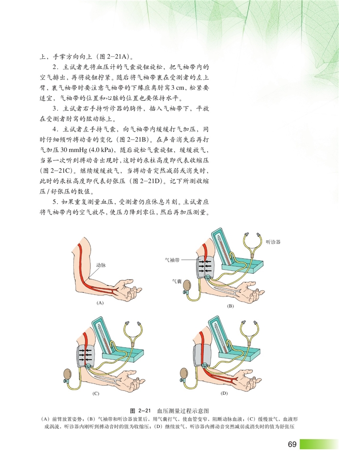 沪科版高中高三生命科学生命科学(拓展)血压及其调节第2页