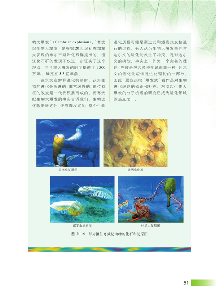 沪科版高中高三生命科学生命科学（第三册）生物进化第9页