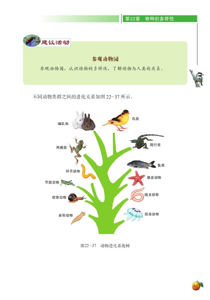 北师大版初中生物初二生物下册动物的主要类群第16页