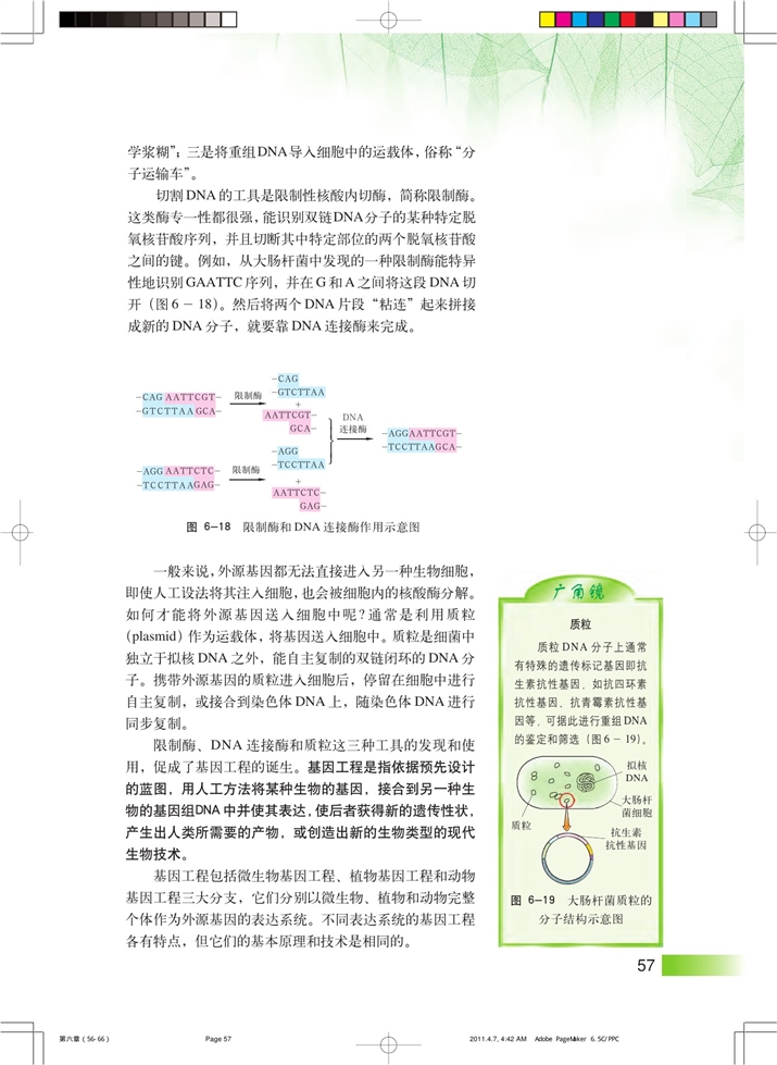 沪科版高中高二生命科学生命科学（第二册）基因工程与转基因生物第1页