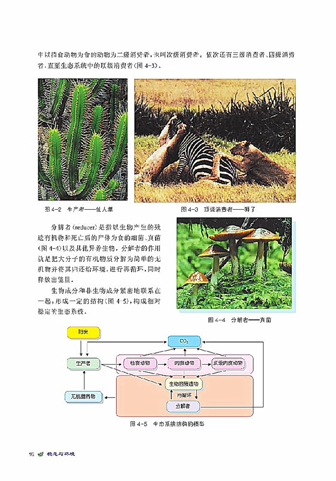 北师大版高中高二生物必修3生态系统是一个相对稳定的系统第2页