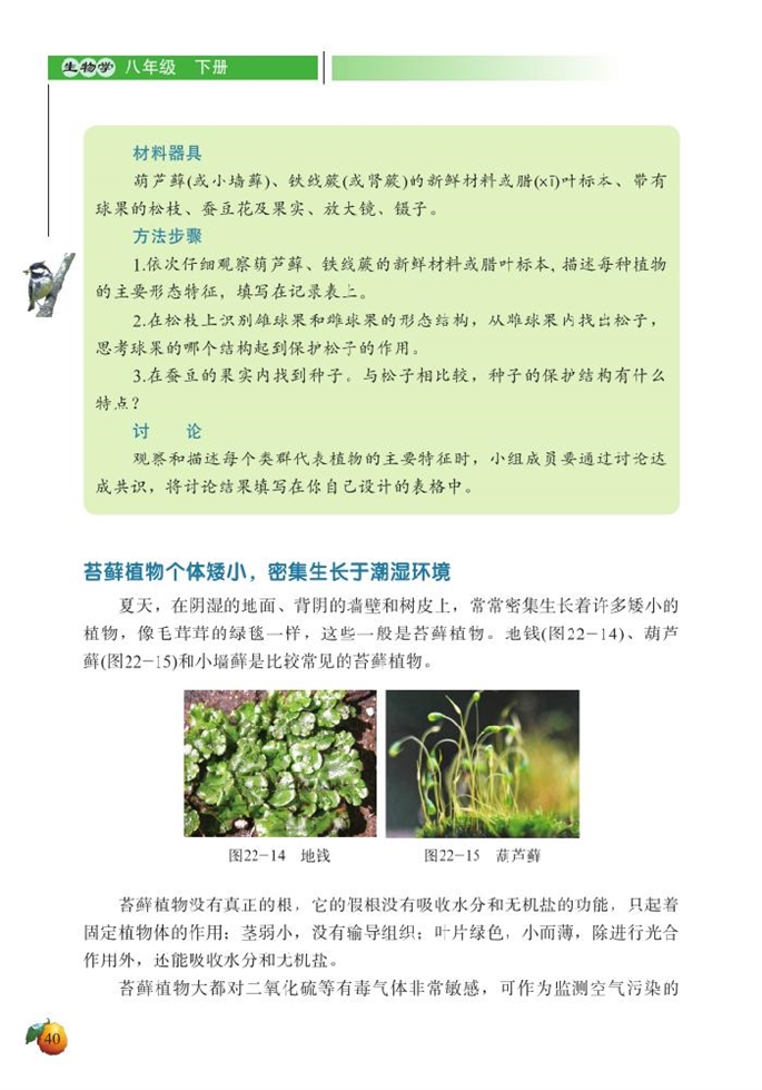 北师大版初中生物初二生物下册植物的主要类群第1页