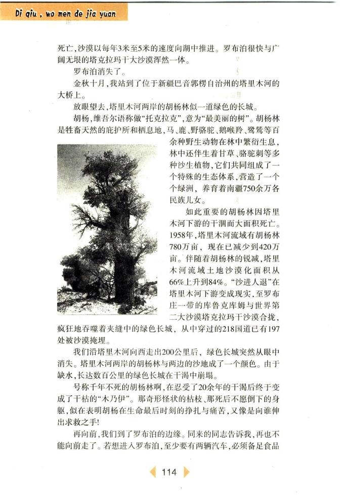 沪教版初中初一语文上册罗布泊，消逝的仙湖第2页