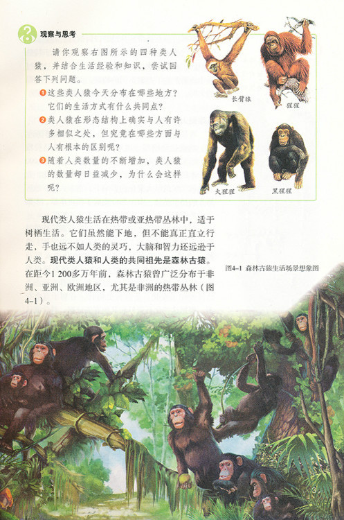 2012部编版七年级生物下册现代类人猿和人类的共同祖先第0页