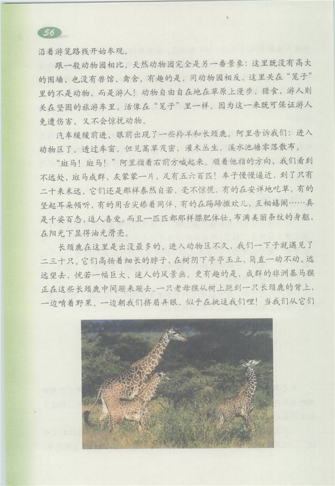 沪教版小学四年级语文下册天然动物园漫游记第1页