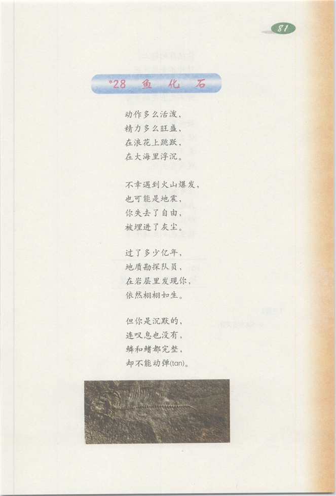 沪教版小学三年级语文下册7 在雨中第94页