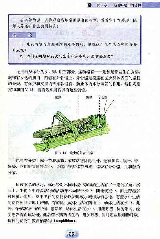 人教版初中初二生物上册控中飞行的动物第5页