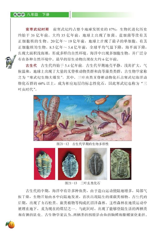 北师大版初中生物初二生物下册生物的进化第7页