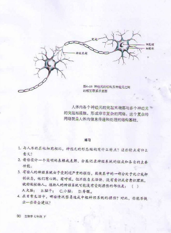 2012部编版七年级生物下册神经元第1页