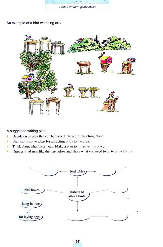 人教版高一英语必修二(2004)Unit 4 Wildlife protection第5页