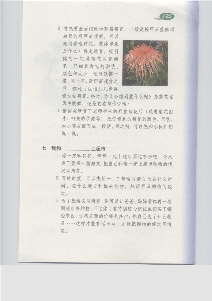 沪教版小学三年级语文上册七 我和________上超市…第0页