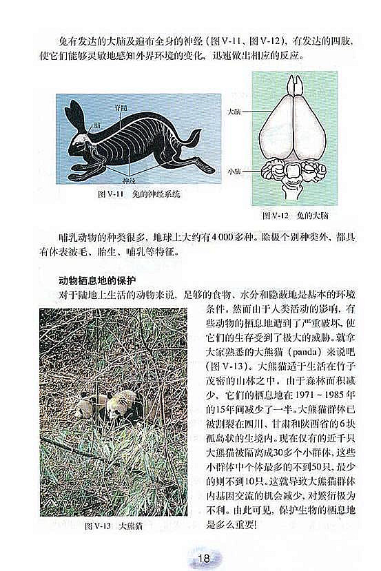 人教版初中初二生物上册陆地生活的动物第6页