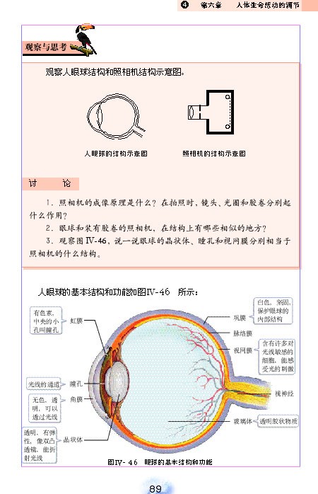 人教版初中初一生物下册人体对外界环境的感知第2页