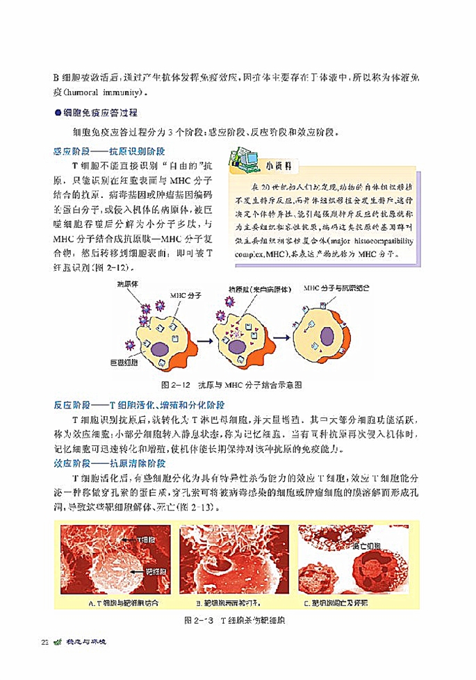 北师大版高中高二生物必修3人体免疫与稳态第1页