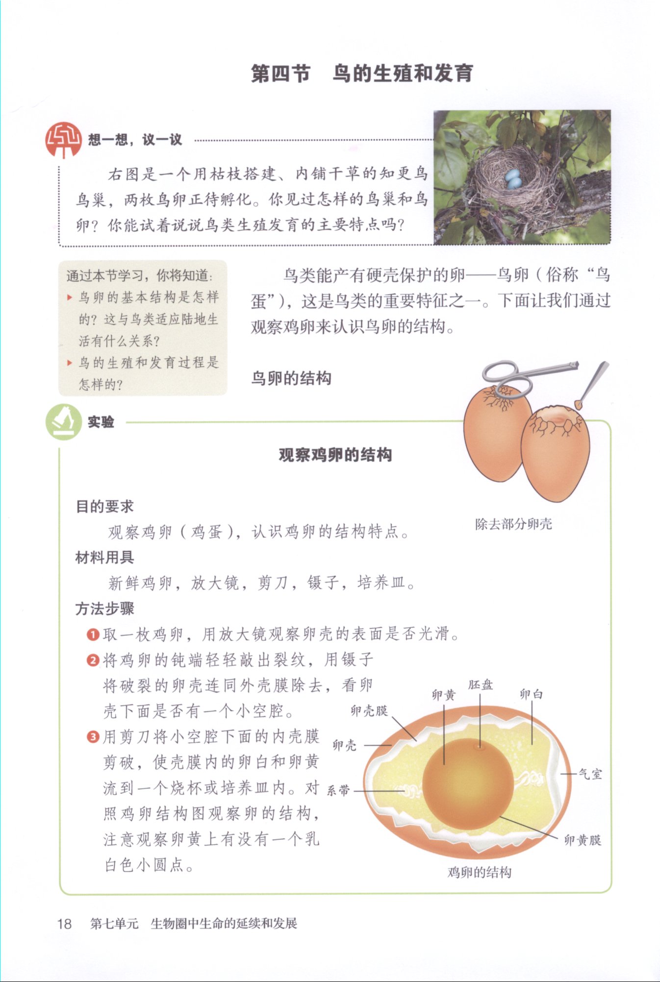 2013部编版八年级生物下册两栖动物的生殖发育与环境条件第2页