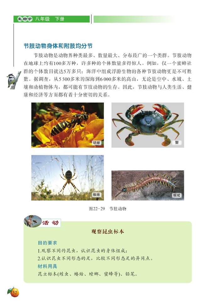 北师大版初中生物初二生物下册动物的主要类群第7页