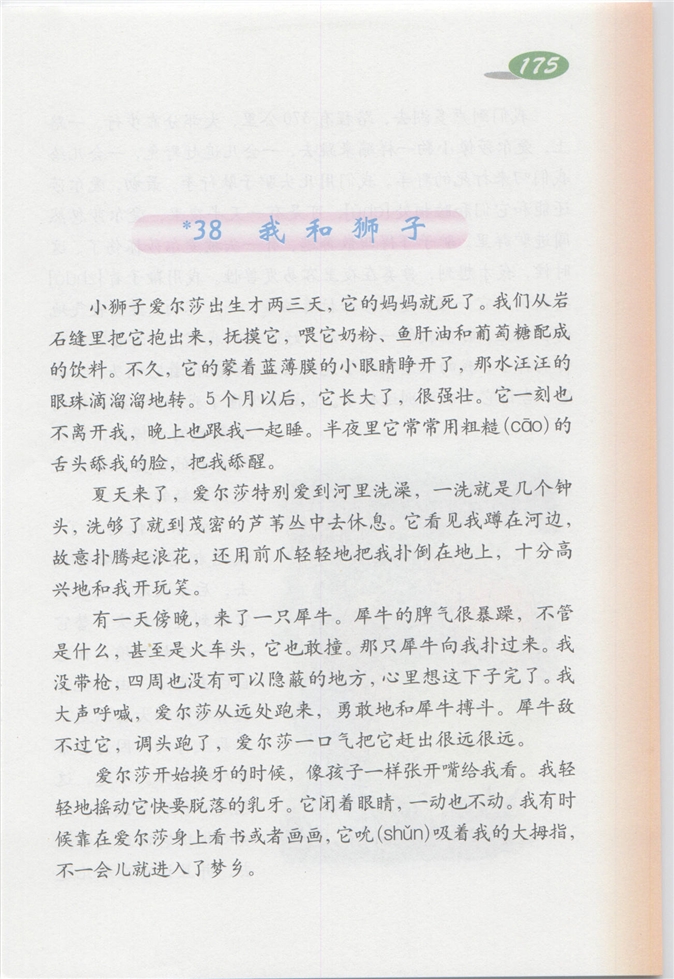 沪教版小学四年级语文上册狼牙山五壮士第235页