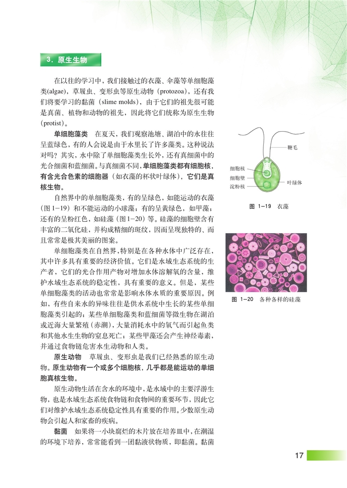 沪科版高中高三生命科学生命科学(拓展)显微镜下的微生物第9页