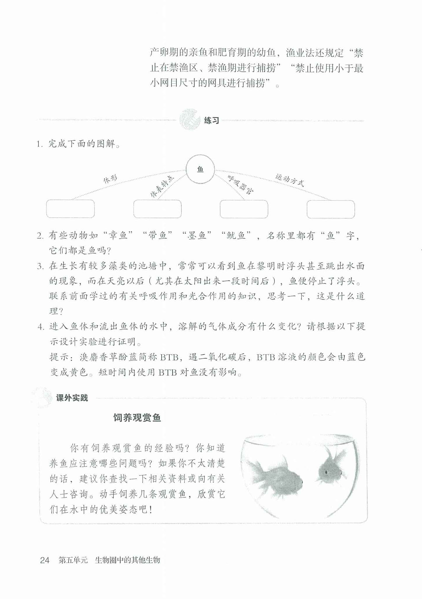 2013部编版八年级生物上册鱼与人类生活的关系第1页