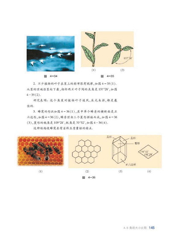 沪科版初中数学初一数学上册多彩的几何图形第27页