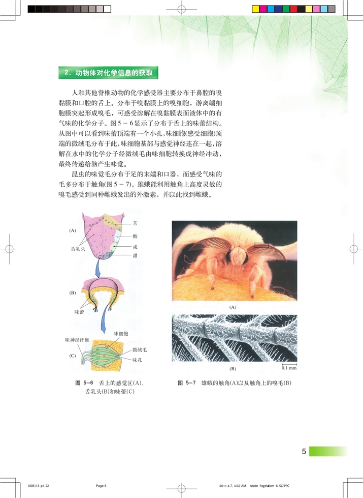 沪科版高中高二生命科学生命科学（第二册）动物对外界信息的获取第3页