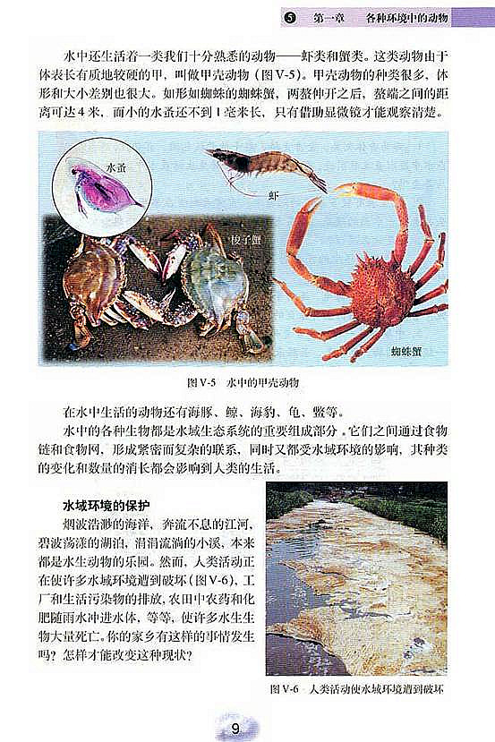人教版初中初二生物上册水中生活的动物第8页