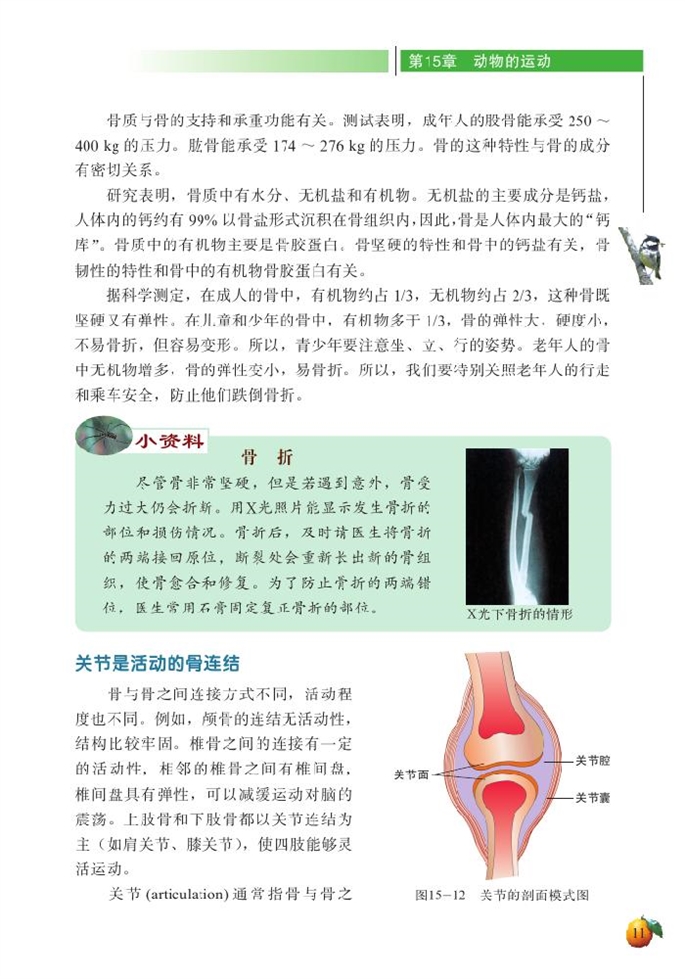 北师大版初中生物初二生物上册动物运动的形成第3页