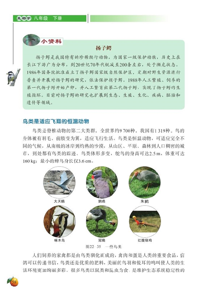 北师大版初中生物初二生物下册动物的主要类群第13页