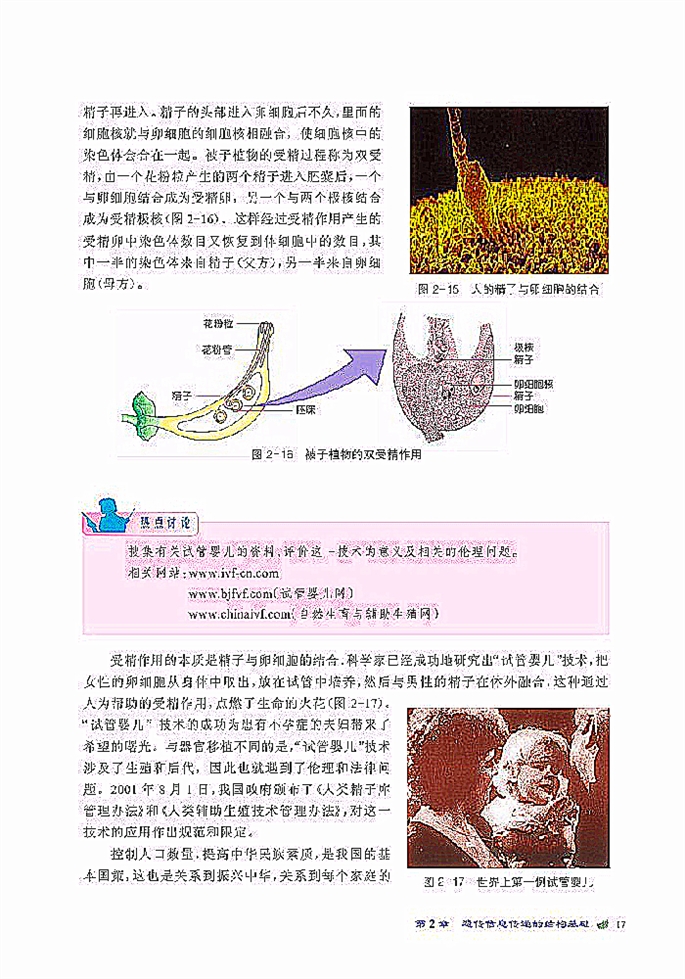 北师大版高中高一生物必修2染色体是遗传信息的载体第8页