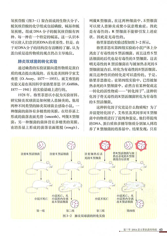 人教版高中高二生物必修2DNA是主要的遗传物质第1页