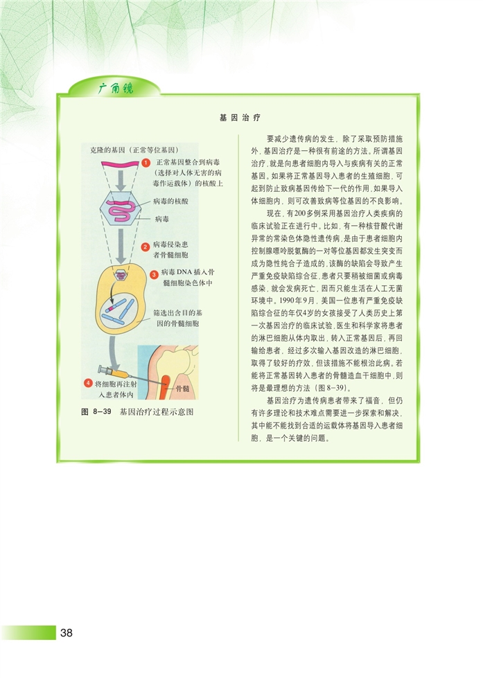 沪科版高中高三生命科学生命科学（第三册）人类遗传病和遗传病预防第7页