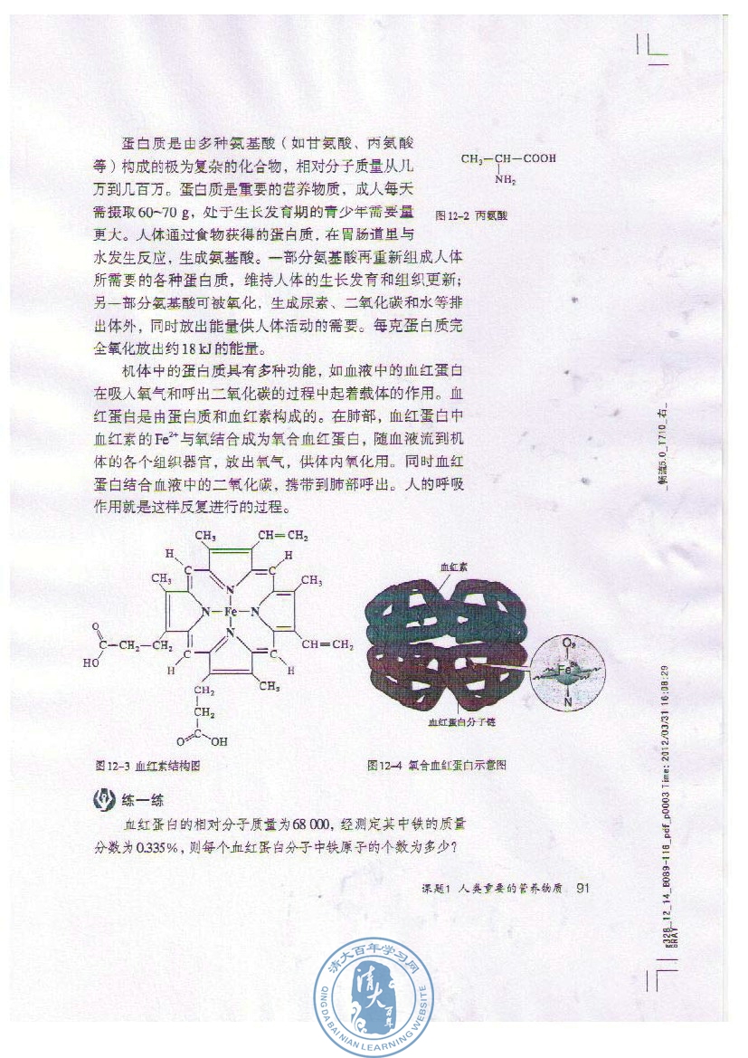 2012部编版九年级化学下册蛋白质第0页