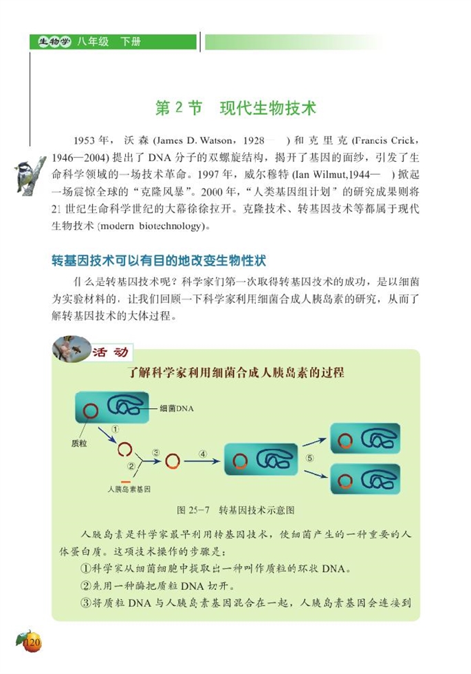 北师大版初中生物初二生物下册现代生物技术第0页