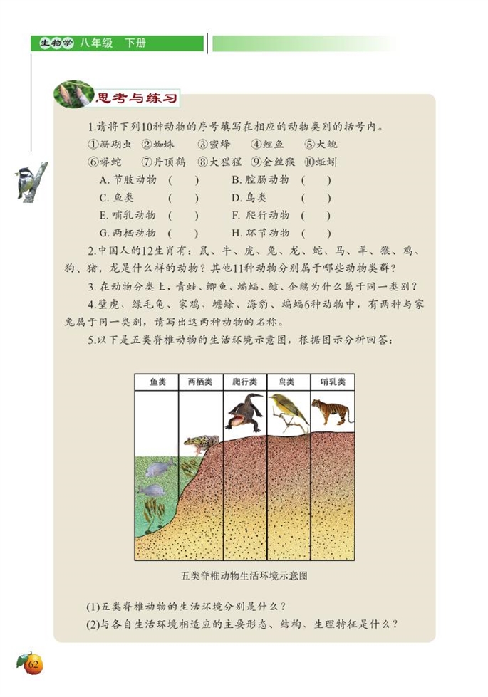 北师大版初中生物初二生物下册动物的主要类群第17页