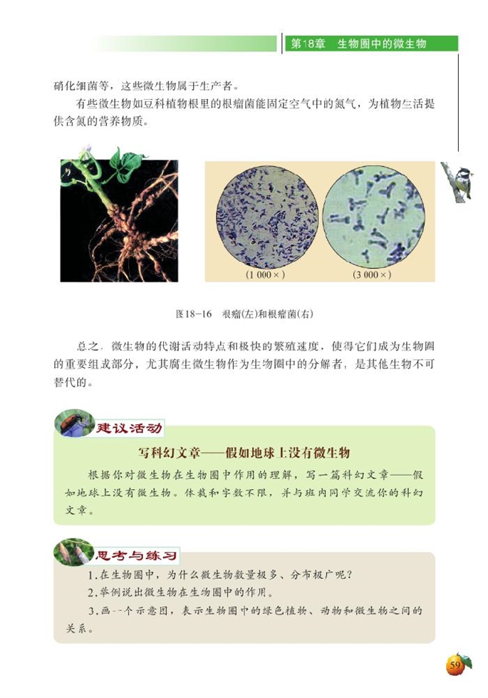 北师大版初中生物初二生物上册生物圈中的微生物第11页