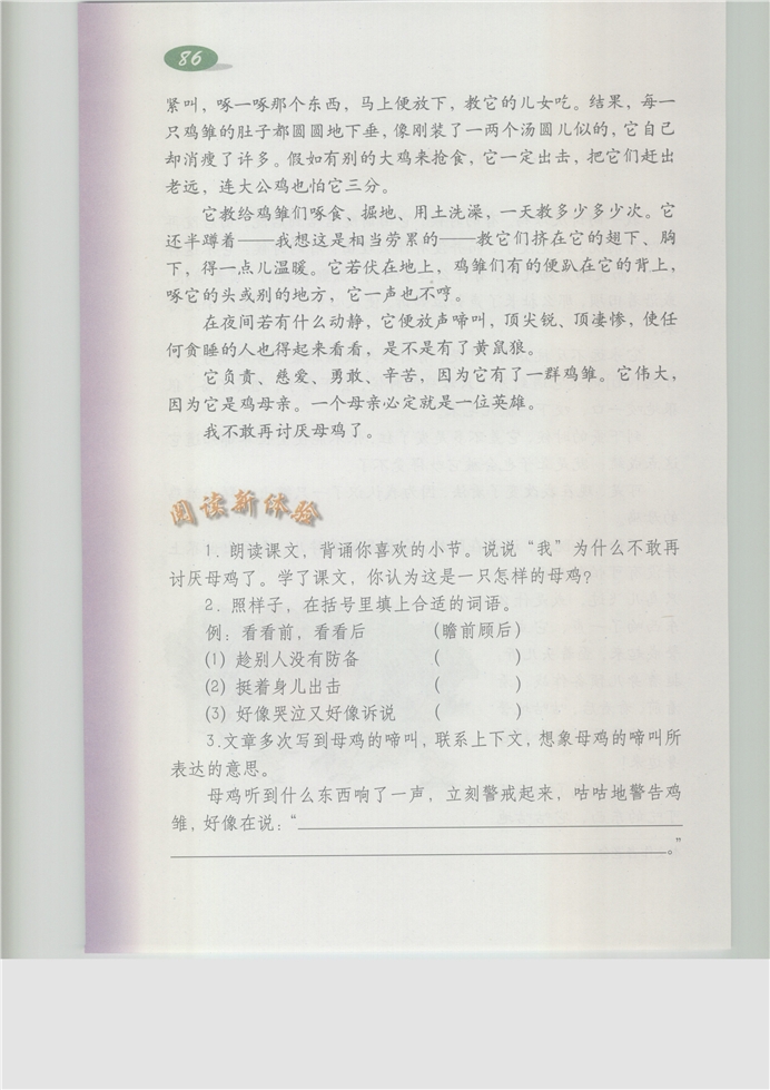 沪教版小学五年级语文上册母鸡第1页
