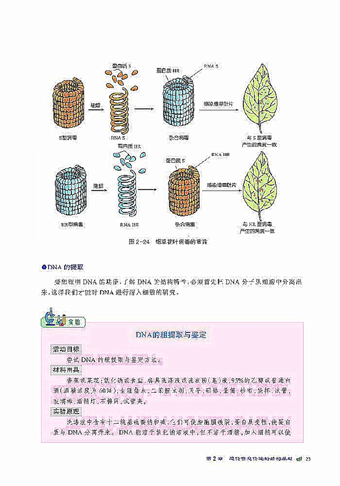 北师大版高中高一生物必修2DNA贮存遗传信息第4页