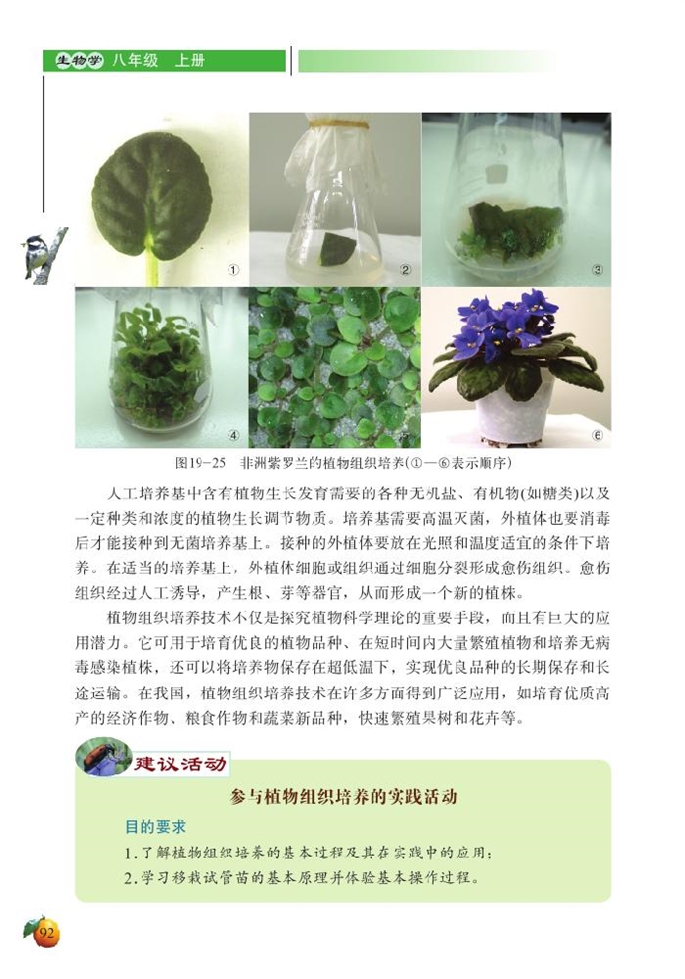 北师大版初中生物初二生物上册植物的生殖方式第6页