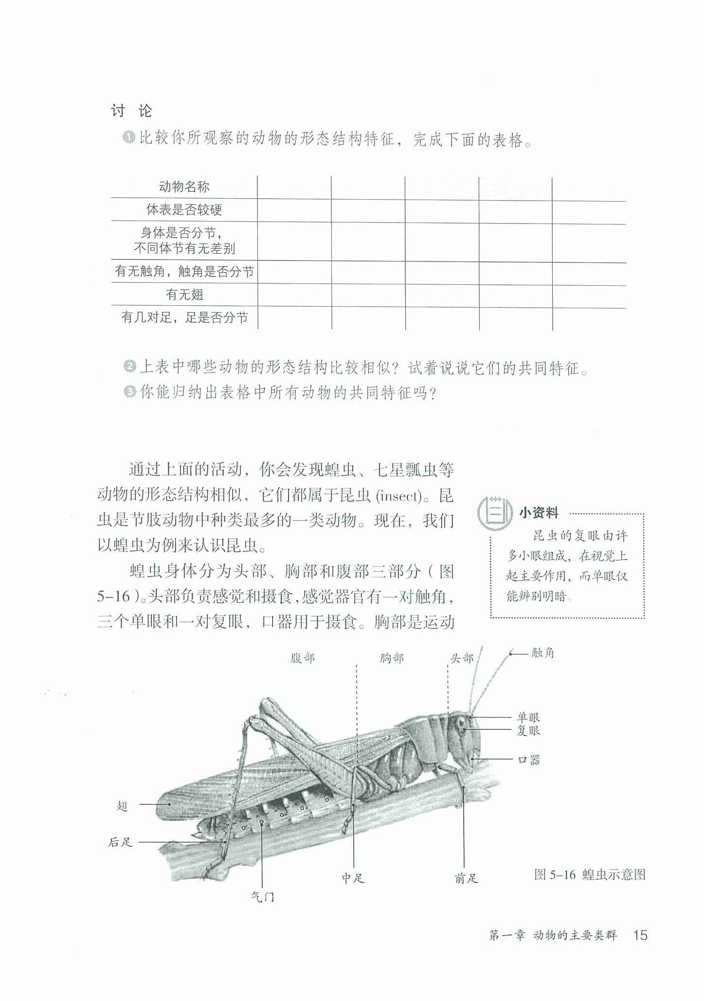 2013部编版八年级生物上册节肢动物第1页