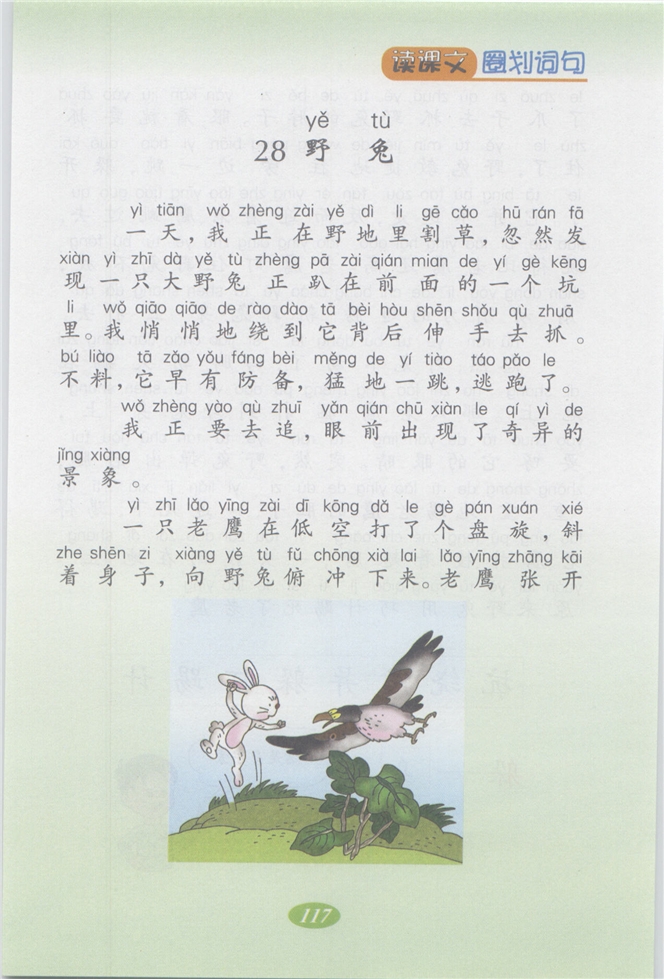 沪教版小学二年级语文上册野兔第0页