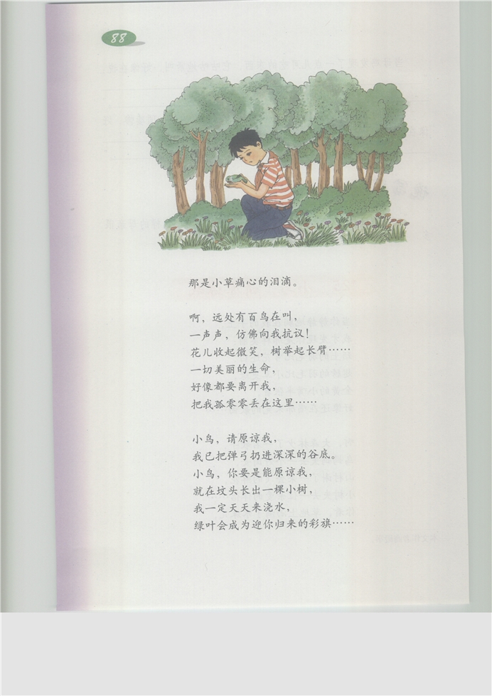 沪教版小学五年级语文上册小鸟，请原谅我第1页