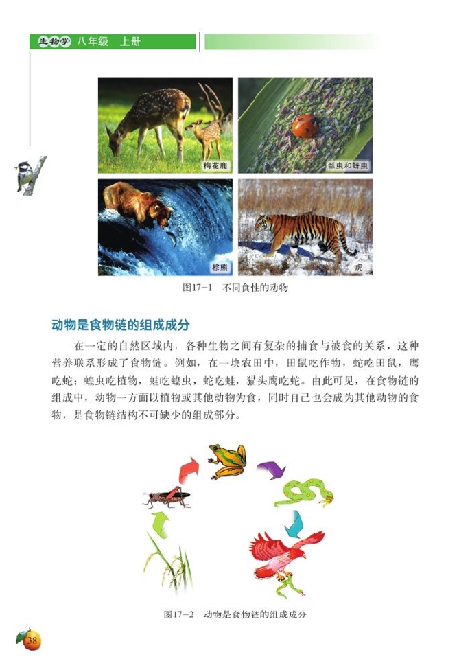 北师大版初中生物初二生物上册动物在生物圈中的作用第2页