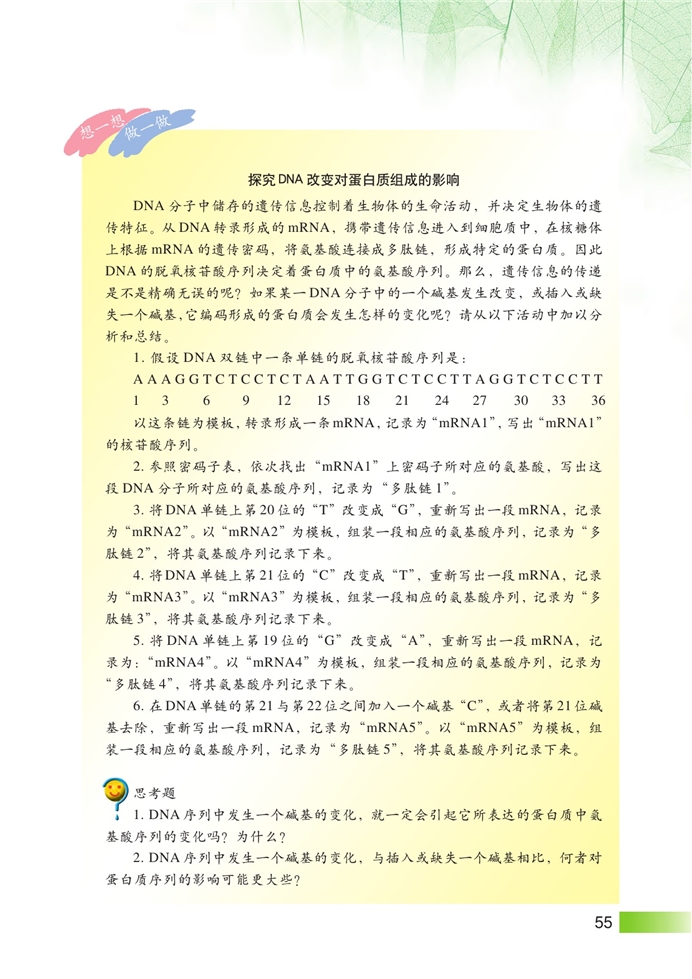 沪科版高中高二生命科学生命科学（第二册）DNA复制和蛋白质合成第8页