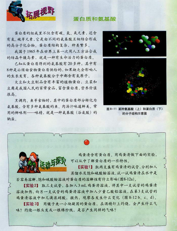 沪教版初中化学初三化学下册蛋白质和维生素第1页